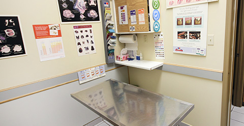 Lakeside sales veterinary clinic
